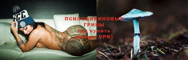 ГАЛЛЮЦИНОГЕННЫЕ ГРИБЫ Володарск