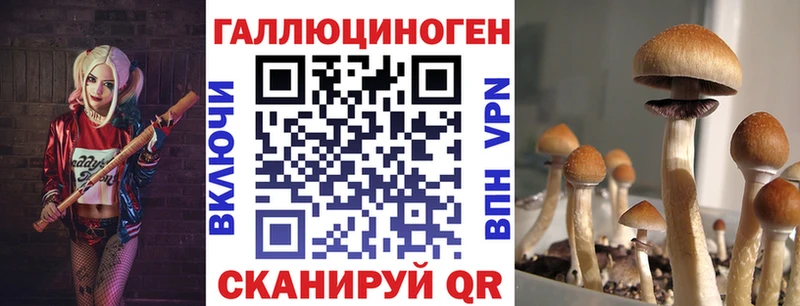 Псилоцибиновые грибы мухоморы  Ялта 